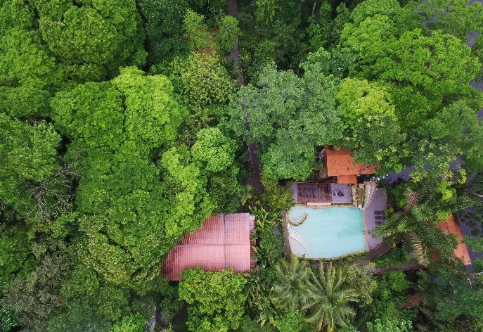 Foresta Lodge - Tortuguero