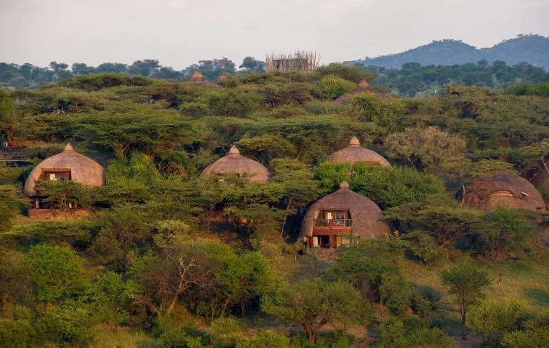 Serengeti Serena Lodge 4* hotel - Serengeti